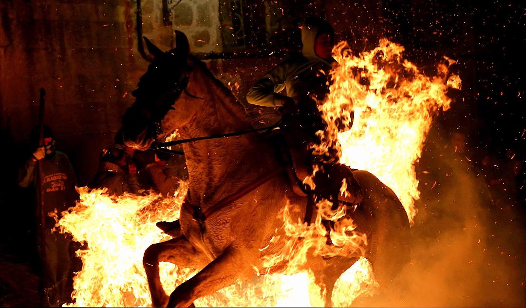 Caballos entre el fuego: la polémica tradición de ‘Las Luminarias’ en España