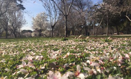 Los colores de la primavera en Madrid