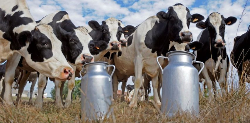 Revisar condiciones comerciales de leche para luchar contra desnutrición en México
