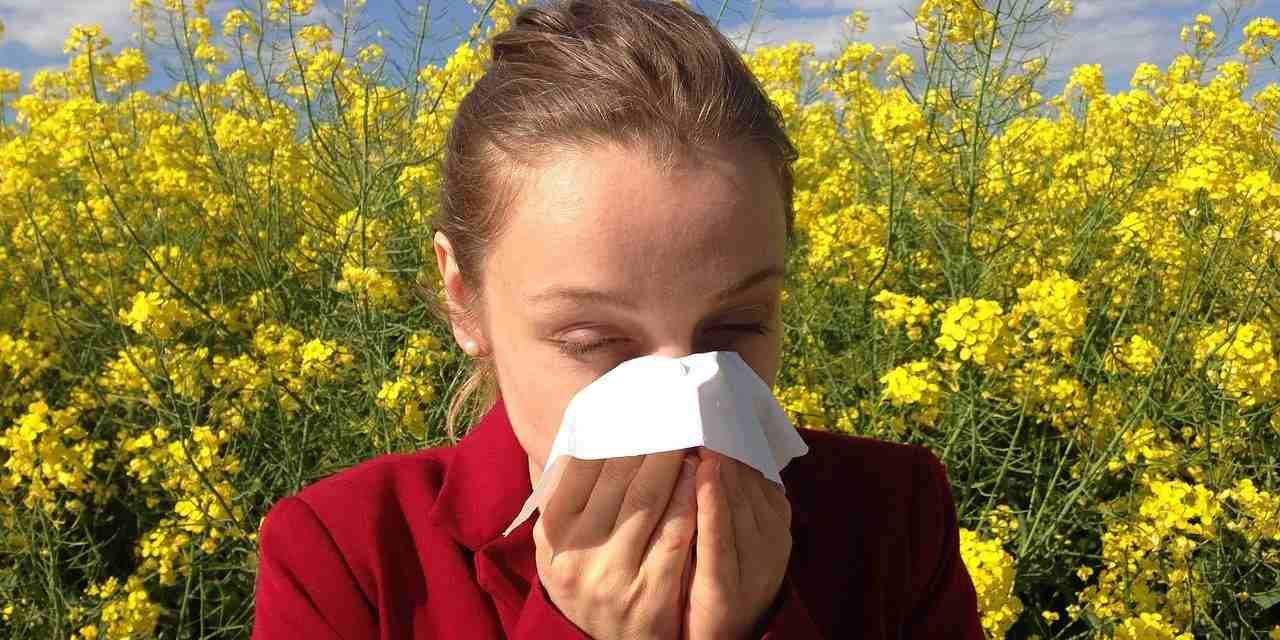 Alergias, un boicot de nuestro sistema inmunológico