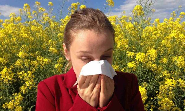 Alergias, un boicot de nuestro sistema inmunológico